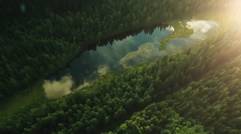 Aerial Shot of River Surrounded by Large Pine Forest in Northern Europe Stock Footage 65248158