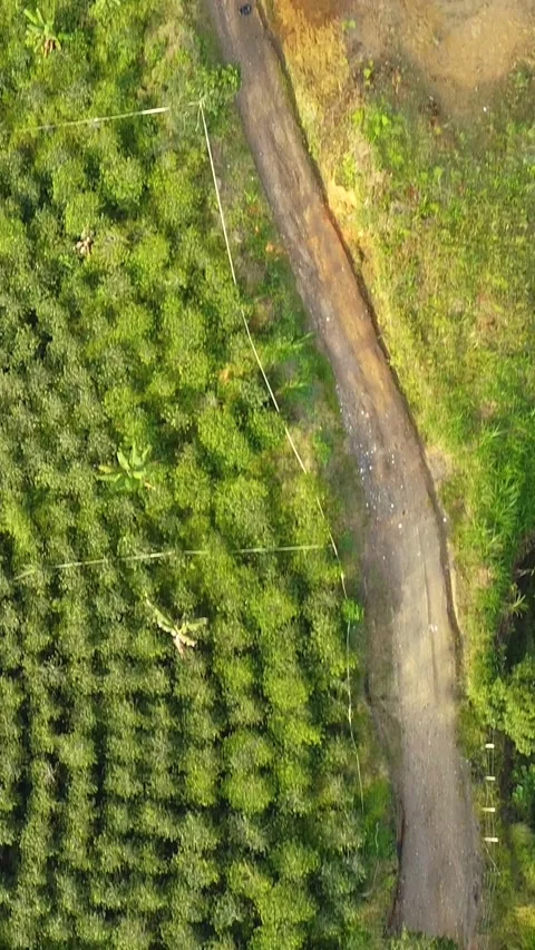 Aerial shot of a road Stock Footage 222019271