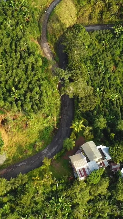 Aerial shot of a road Stock Footage 222019299