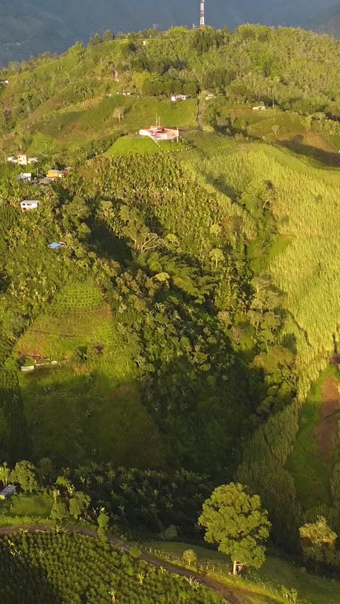 Aerial shot of a road Stock Footage 222019352