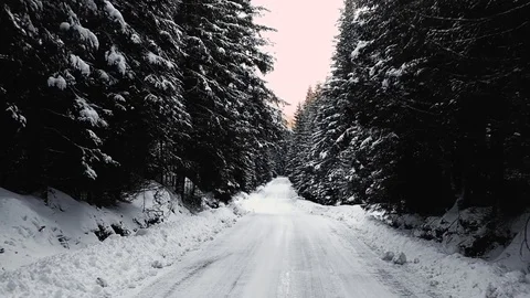 Aerial shot of a road with a pine forest covered in snow Stock Footage 83758077