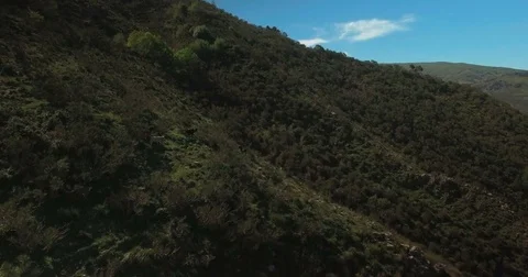 Aerial shot rotating around fields in Sicily Stock Footage 77037464