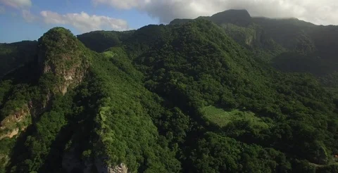 Aerial shot sailing parallel alongside the green Dominican coastline Видео 69976378