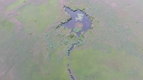 Aerial shot of a serpent looking inflow with open mouth in the Dnipro basin Stock Footage 87985307