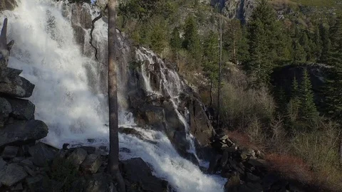Aerial shot, shadow of multirotor flying up Redwood tree and waterfall 003415 Stock Footage 90644641
