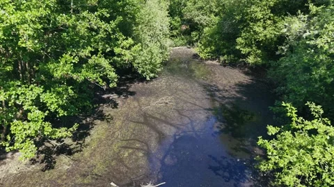 Aerial shot of a shallow drying riverbed with cracked ground during summer Stock Footage 309769695