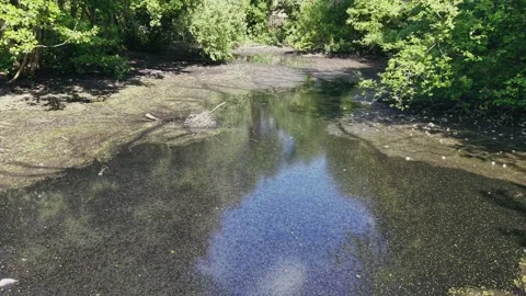 Aerial shot of a shallow drying riverbed with cracked ground during summer Stock Footage 309769696