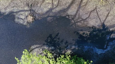 Aerial shot of a shallow drying riverbed with cracked ground during summer Stock Footage 309769729