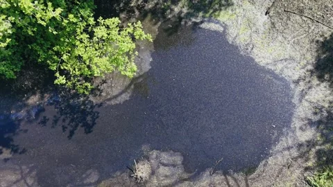 Aerial shot of a shallow drying riverbed with cracked ground during summer Stock Footage 309769843