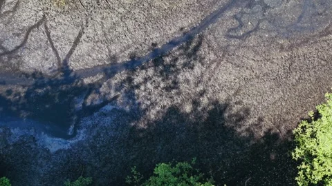 Aerial shot of a shallow drying riverbed with cracked ground during summer Stock Footage 309769853