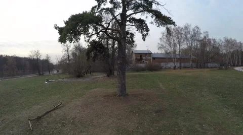 Aerial Shot: Short flight from tree in park Stock Footage 58044338