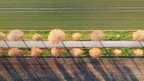Aerial shot (sideways flight, vertical angle) over scenic avenue Stock Footage 149268326