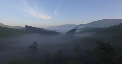 Aerial shot, slowly moving down into the fog over lush, green hills in Munnar Stock Footage 61551096