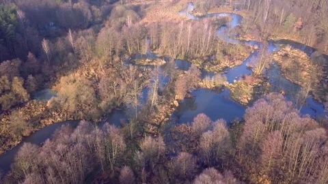 Aerial shot of small, curvy river in Autumn. Stock Footage 83634418