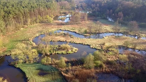 Aerial shot of small, curvy river. Small river seen from above in spring light. Video stock 88601326