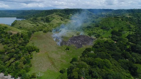 Aerial shot of small fire at the tropical coastline by Playa Arenillas in Costa  Stock Footage 129376677