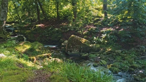 Aerial shot of small river Stock Footage 114809607