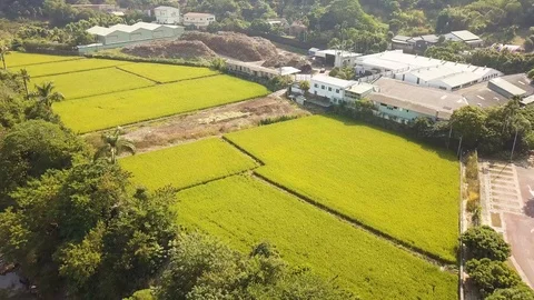 Aerial shot of small scale farm, Taichung,Taiwan Stock Footage 122036087