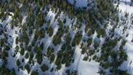 Aerial Shot Of Snow Covered Forest, Alaskan Wilderness Stock Footage
