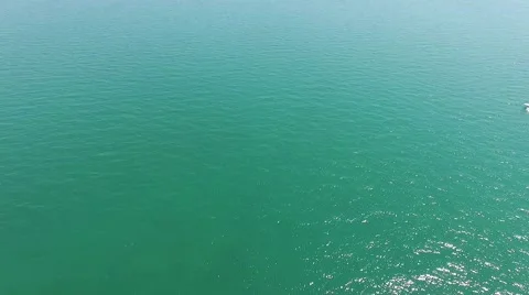 AERIAL SHOT OF SPEED BOAD CUTTING INTO SHOT AND FOLLOWING Video stock 52495112
