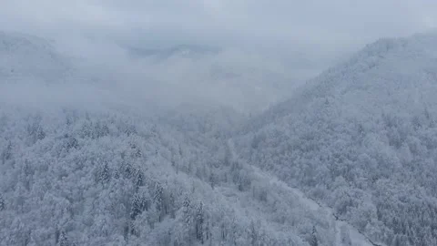 Aerial shot: spruce and pine winter forest completely covered by snow. Stock Footage 148317405