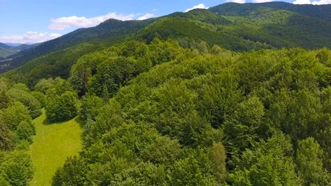 Aerial shot of a spruce forest and a lane on a Carpathian Mountain in summer Stock Footage 89920834