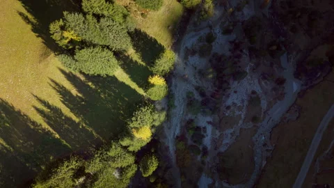 Aerial Shot. Stream and trees from above in autumn in Graubünden Stock Footage 318960319