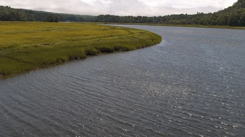 Aerial Shot of Stream Stock Footage 95565027
