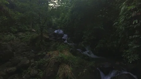 Aerial shot of a stream in tropical forest Stock Footage 80796480