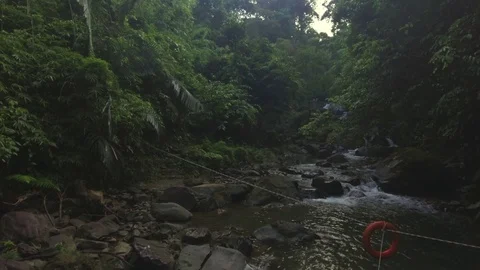 Aerial shot of a stream in tropical forest Stock Footage 80796515