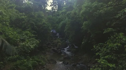 Aerial shot of a stream in tropical forest Stock Footage 80800281
