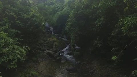 Aerial shot of a stream in tropical forest Stock Footage 80843520
