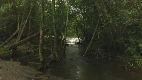 Aerial shot of a stream in tropical forest Stock Footage 80844078