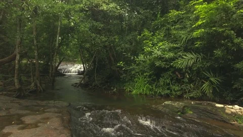 Aerial shot of a stream in tropical forest Stock Footage 80846496