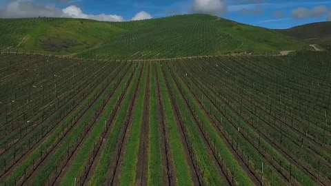 Aerial shot of Sunny farmland (16:9) Stock Footage