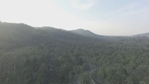 Aerial shot of the sunset in a jungle mountains RAW Stock Footage