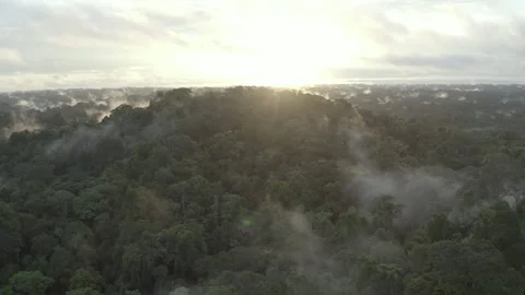 Aerial shot of a sunset over a cloud forest in the amazon rainforest Stock Footage 312218934