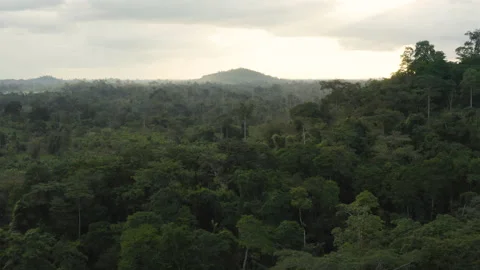 Aerial shot at sunset over a forest with a hill in the distance, in Ivory Coast Stock Footage 220848869
