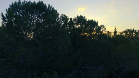 Aerial shot of sunset over forests and mountains Stock Footage 69765182