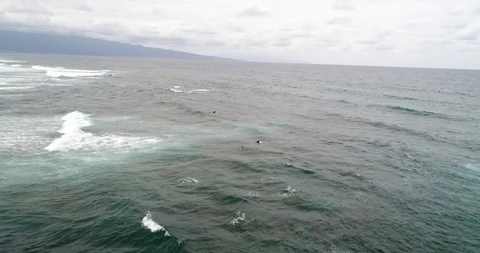 Aerial shot of surfer wait the waves - sitting on a surfboard, Hawaii 4k 60p Stock Footage 89900821