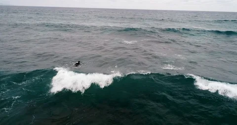 Aerial shot of surfer wait the waves - sitting on a surfboard, Hawaii 4k 60p Stock Footage 89920288