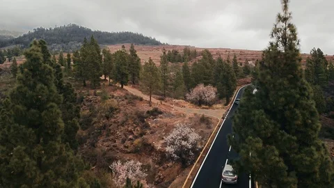 Aerial shot. takeoff camera over the treetops. cars are driving a new asphalt Stock-Footage 103450883