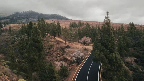 Aerial shot. takeoff camera over the treetops. black car ride new ideally flat Video stock 103497947