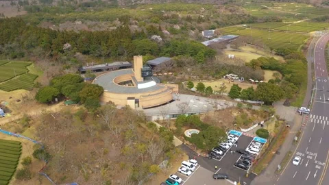Aerial shot of tea fields, museum and observatory,Jeju Island,South Korea Stock Footage 245953763