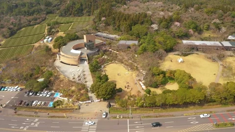 Aerial shot of tea fields, museum and observatory,Jeju Island,South Korea Stock Footage 245953815