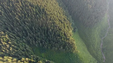 Aerial shot of three ridges looking like hedgehogs in the Carpathians in summer Stock Footage 91957179