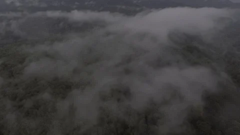 Aerial shot through clouds. Stock-Footage 98565696