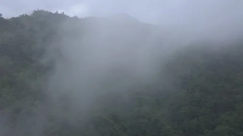 Aerial shot through the clouds with a mountain behind, surrounded by forest Stock Footage 194489228
