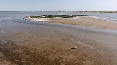 Aerial shot of tiny shallows at the Black Sea coast with flying birds in summer Stock-Footage 124519617