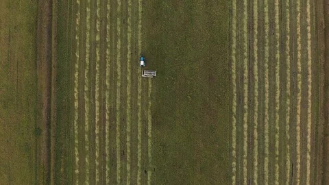 Aerial shot from top to down of tractor cutting grass and moving forward Stock Footage 98486172